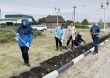 Партийцы приняли активное участие в высадке цветов на улицах города